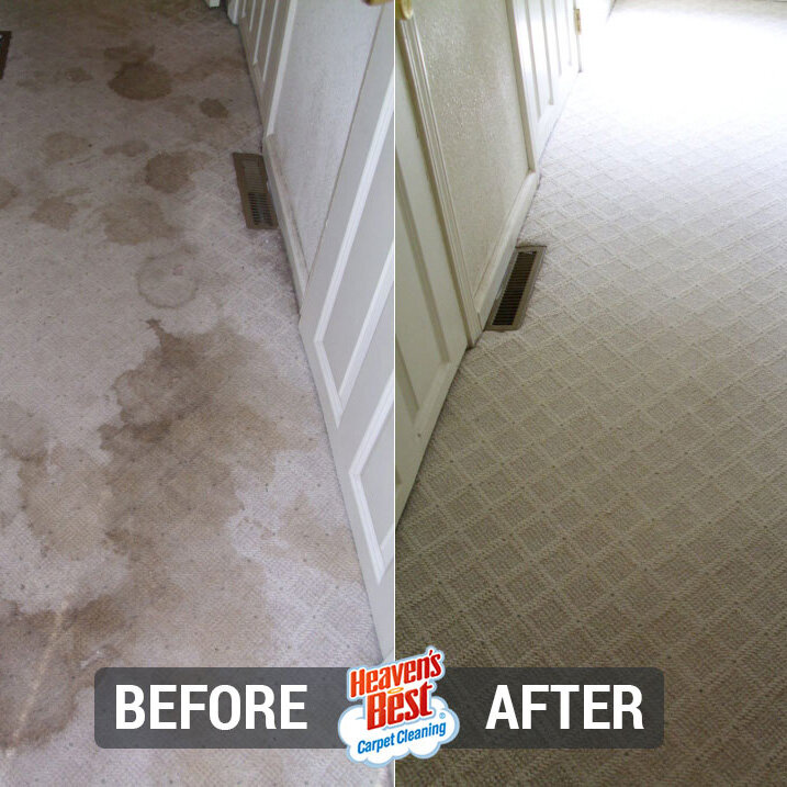 Heaven's Best Carpet Cleaning of Duluth